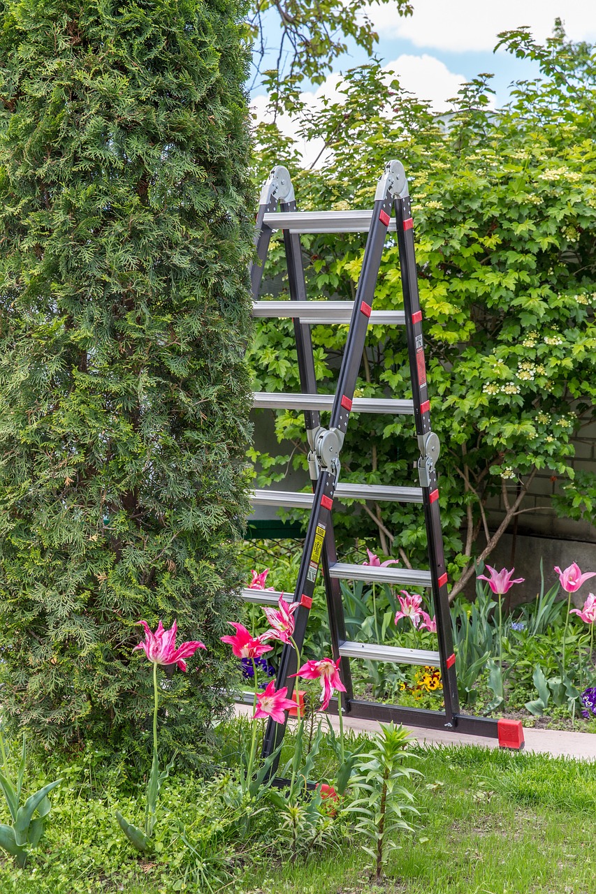 garden, backyard, nature, autumn, gardening